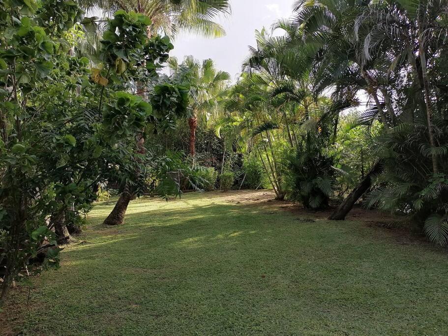 Private Nasoso 4 Bedroom Houseナンディ エクステリア 写真